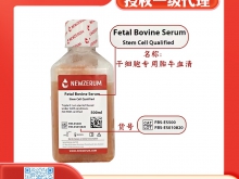 干细胞专用胎牛血清