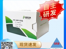 m6A MeRIP 试剂盒