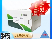 m6A Dot bloting 试剂盒