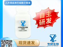 人外周血淋巴细胞分离液