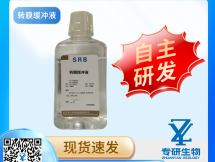 转膜缓冲液